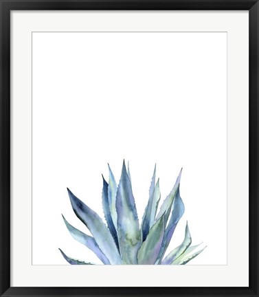 Framed Agave II Print