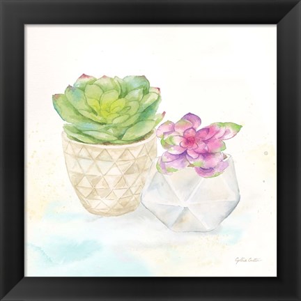 Framed Sweet Succulent Pots III Print