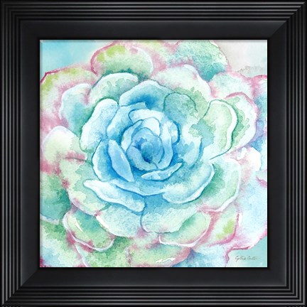 Framed Sweet Succulents I Print