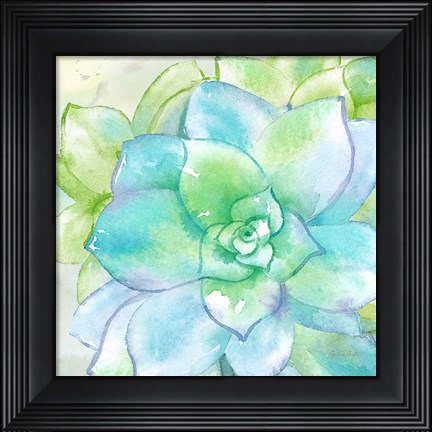 Framed Sweet Succulents II Print