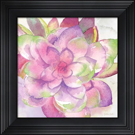 Framed Sweet Succulents III Print