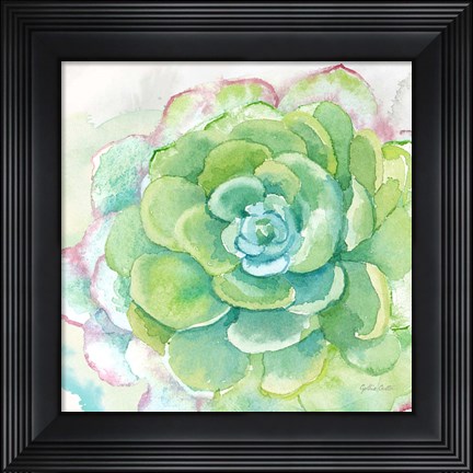 Framed Sweet Succulents IV Print