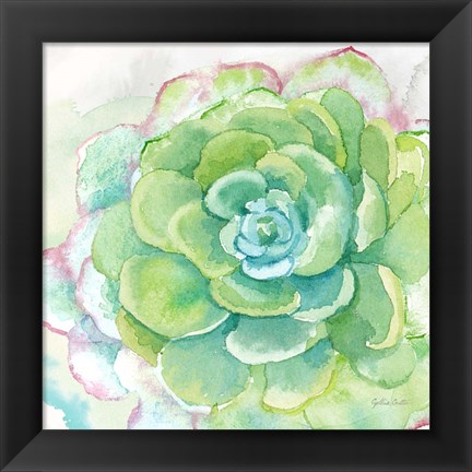 Framed Sweet Succulents IV Print