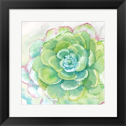 Framed Sweet Succulents IV Print