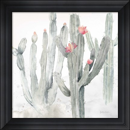 Framed Cactus Garden Gray Blush II Print