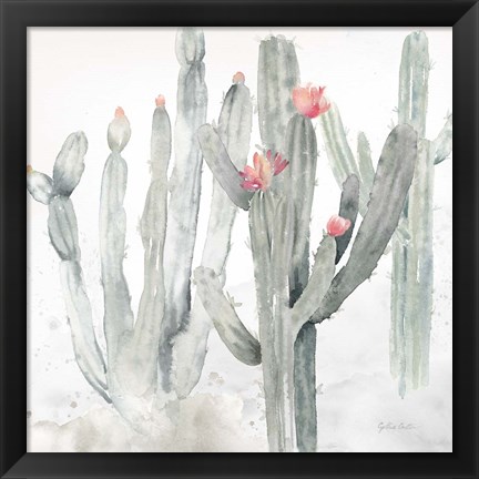 Framed Cactus Garden Gray Blush II Print