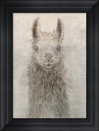 Framed Llama Portrait Print