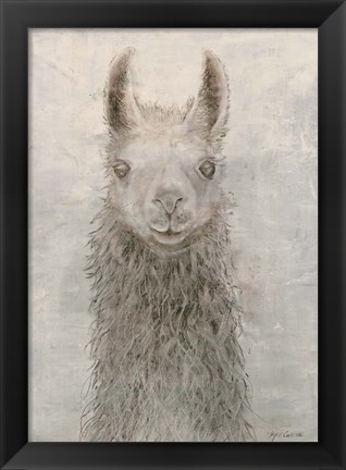 Framed Llama Portrait Print