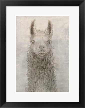 Framed Llama Portrait Print