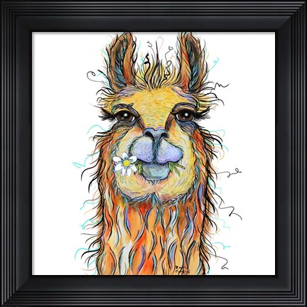 Framed Llama with Daisy Print