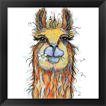 Framed Llama with Daisy Print