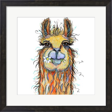 Framed Llama with Daisy Print