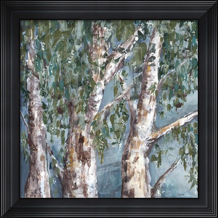 Framed Eucalyptus Trees Print