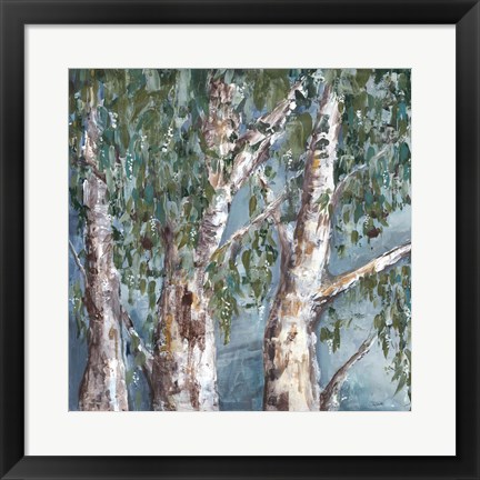 Framed Eucalyptus Trees Print