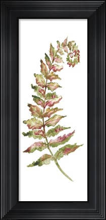 Framed Botanical Fern Single II Print