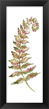 Framed Botanical Fern Single II Print