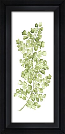Framed Botanical Fern Single IV Print
