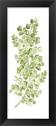 Framed Botanical Fern Single IV Print