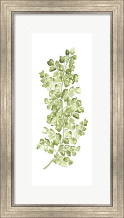 Framed Botanical Fern Single IV Print