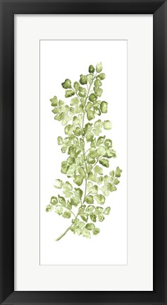 Framed Botanical Fern Single IV Print