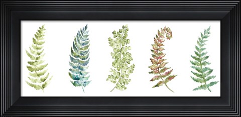 Framed Botanical Ferns Panel Print