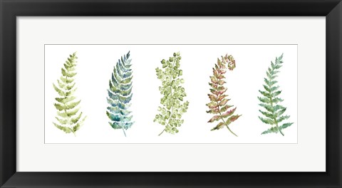 Framed Botanical Ferns Panel Print