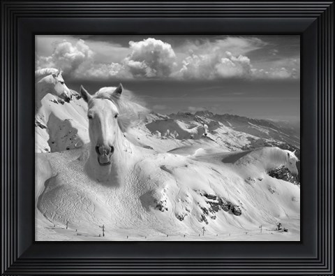 Framed Icy Studs Print