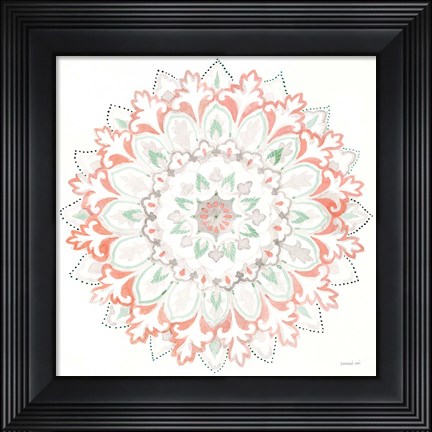 Framed Mandala Delight II Print