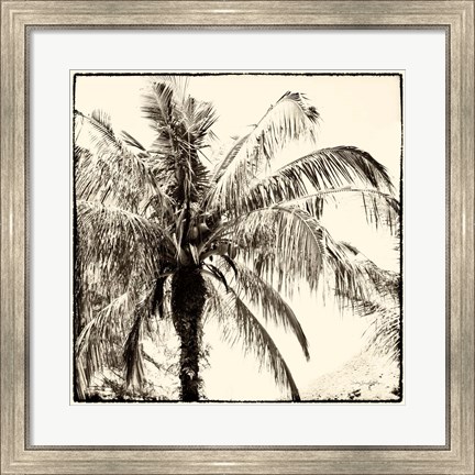 Framed Palm Tree Sepia III Print