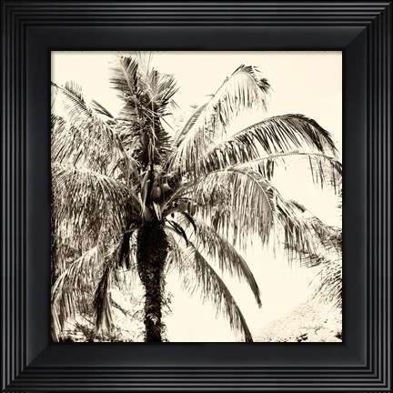 Framed Palm Tree Sepia III Print