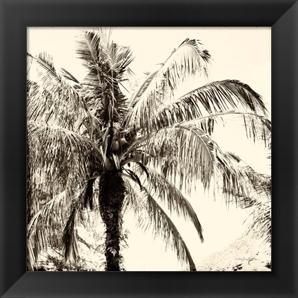 Framed Palm Tree Sepia III Print