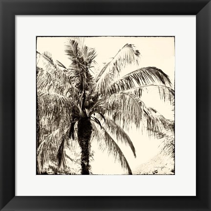 Framed Palm Tree Sepia III Print