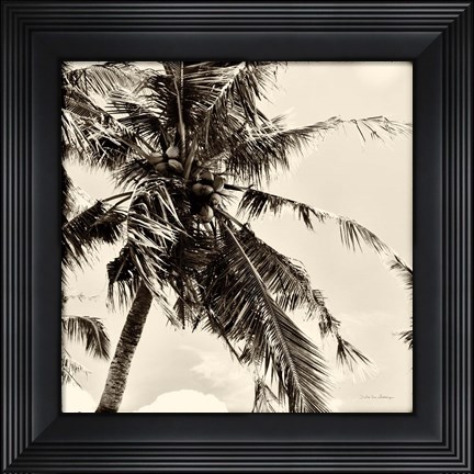 Framed Palm Tree Sepia II Print
