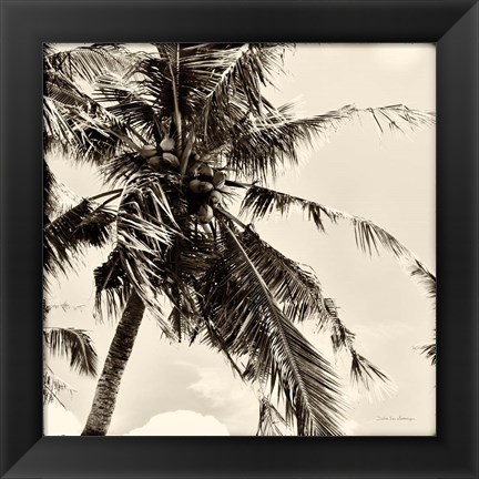 Framed Palm Tree Sepia II Print