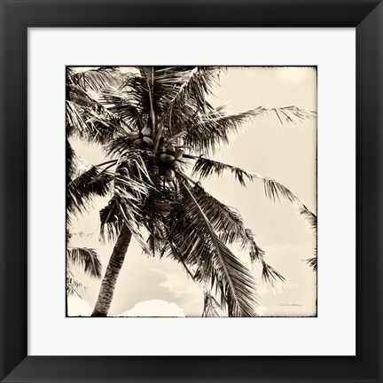 Framed Palm Tree Sepia II Print