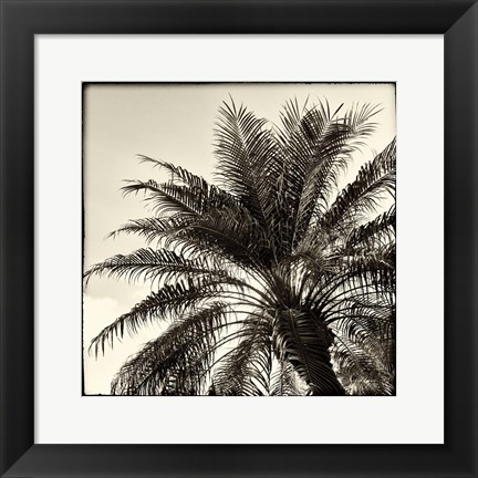 Framed Palm Tree Sepia I Print