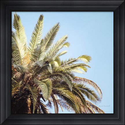 Framed Endless Summer VI Print
