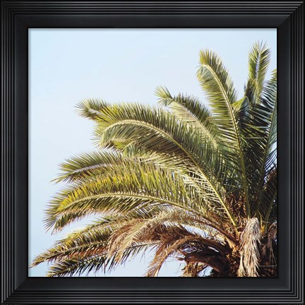 Framed Endless Summer I Crop Print