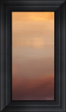 Framed Kalaloch Reflections II Print