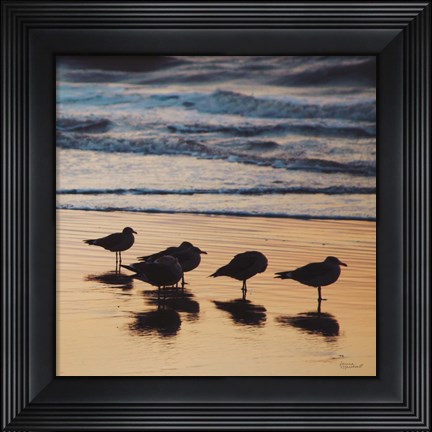 Framed Kalaloch Birds II Print