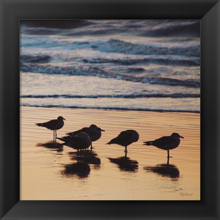 Framed Kalaloch Birds II Print