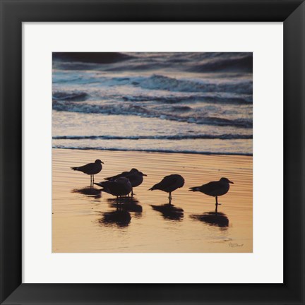 Framed Kalaloch Birds II Print