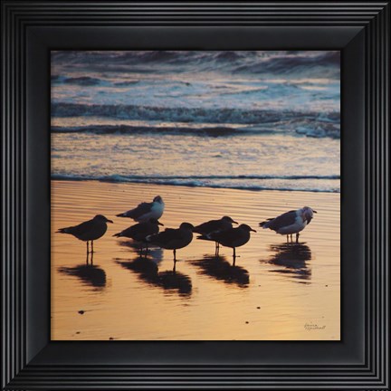 Framed Kalaloch Birds I Print