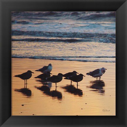 Framed Kalaloch Birds I Print