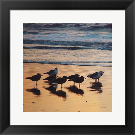 Framed Kalaloch Birds I Print