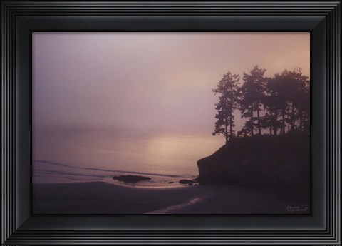 Framed Crescent Bay II Print