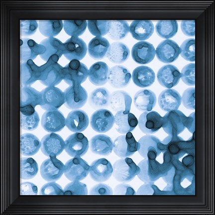Framed Kanari Square II Indigo Print