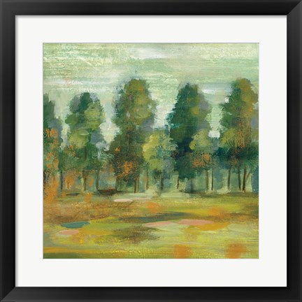 Framed Forest II Print