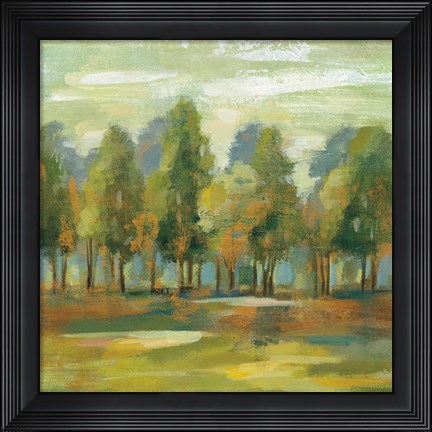 Framed Forest I Print