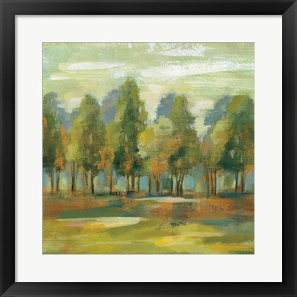 Framed Forest I Print